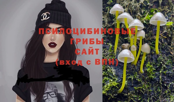 экстази Медвежьегорск