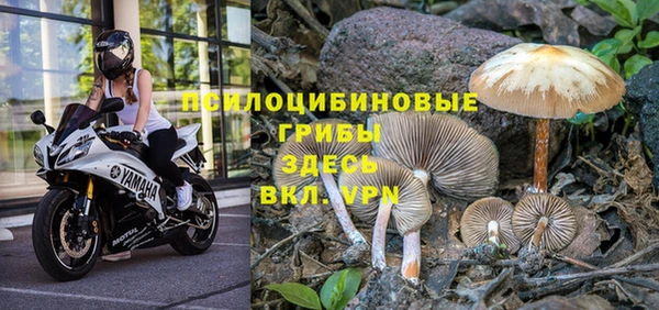 экстази Медвежьегорск