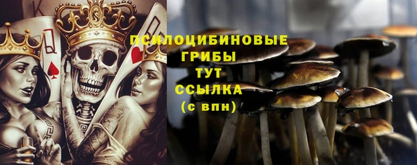 кокаин Медногорск